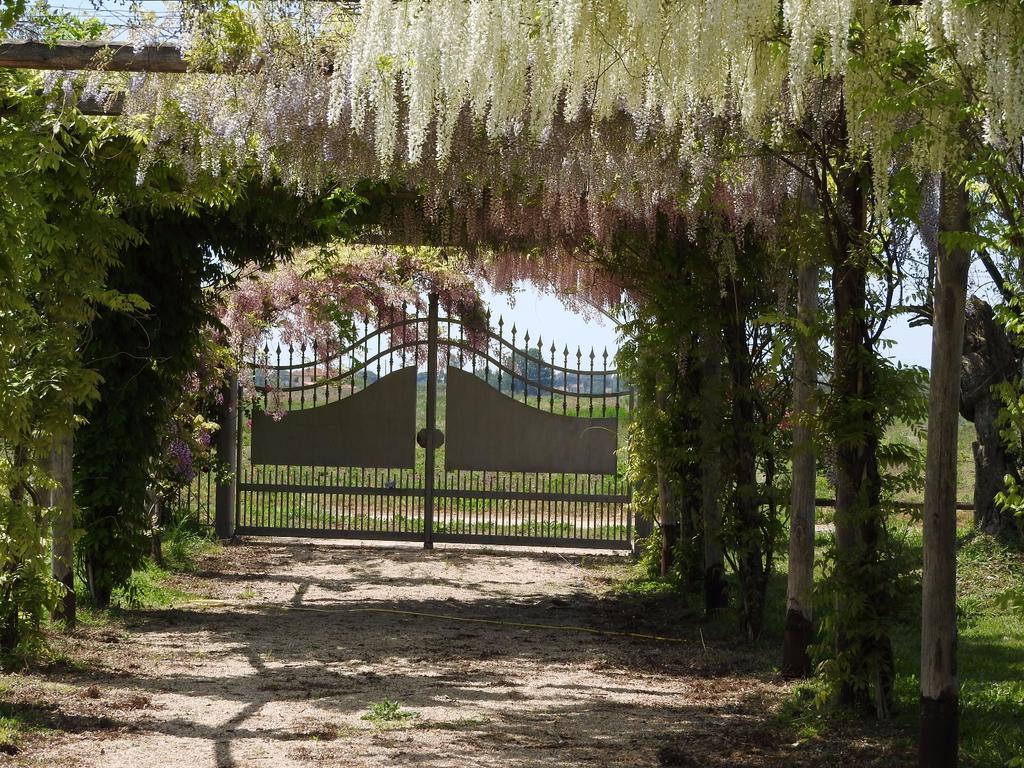 Villa Tenuta Le Pantanelle Sezze Exterior foto