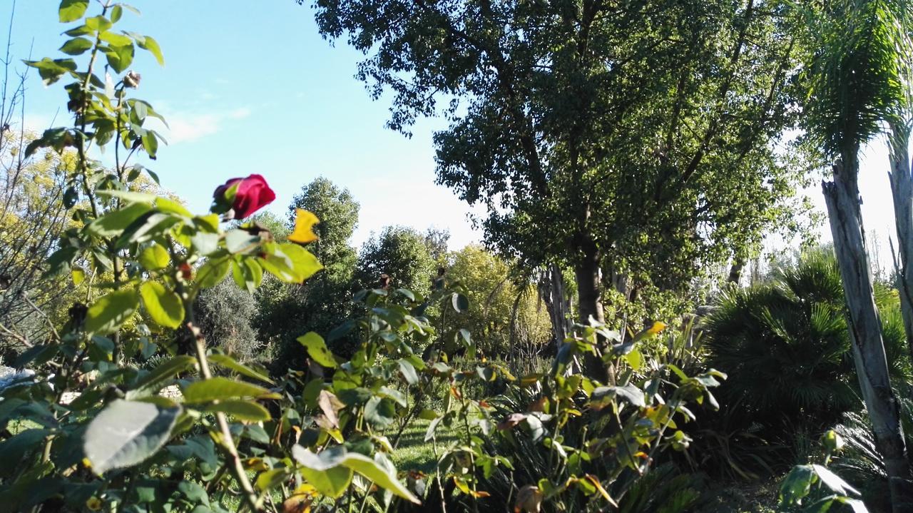 Villa Tenuta Le Pantanelle Sezze Exterior foto